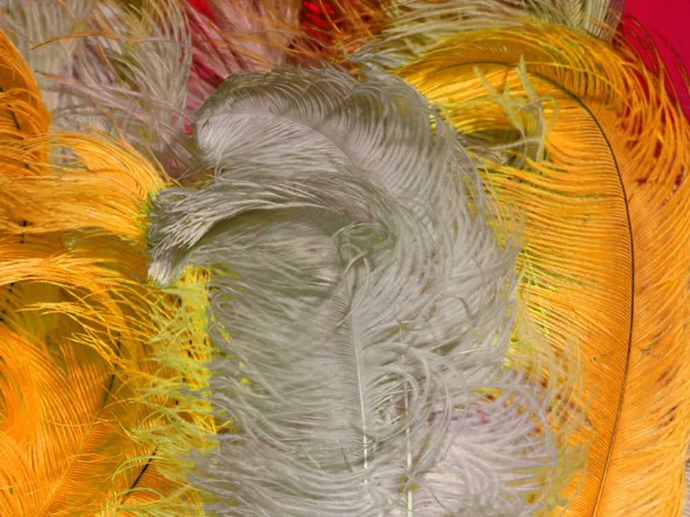 1/2 Lb. - 18-24" Golden Yellow Large Ostrich Wing Plume Wholesale Feathers (Bulk)