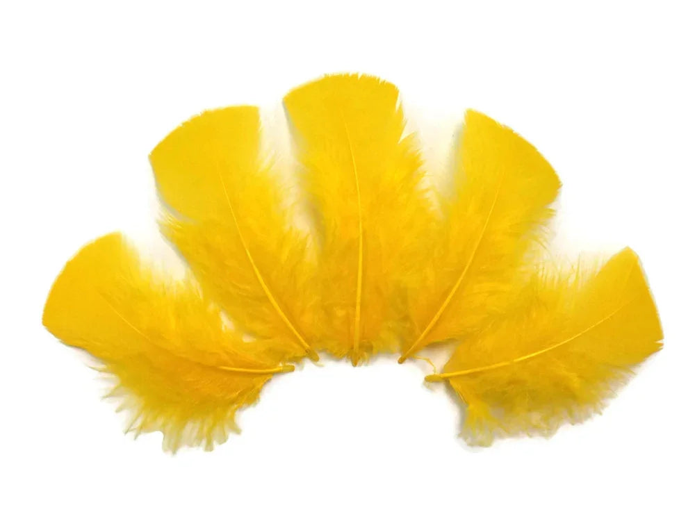 Five vibrant yellow craft feathers arranged in a fan shape on a white background.