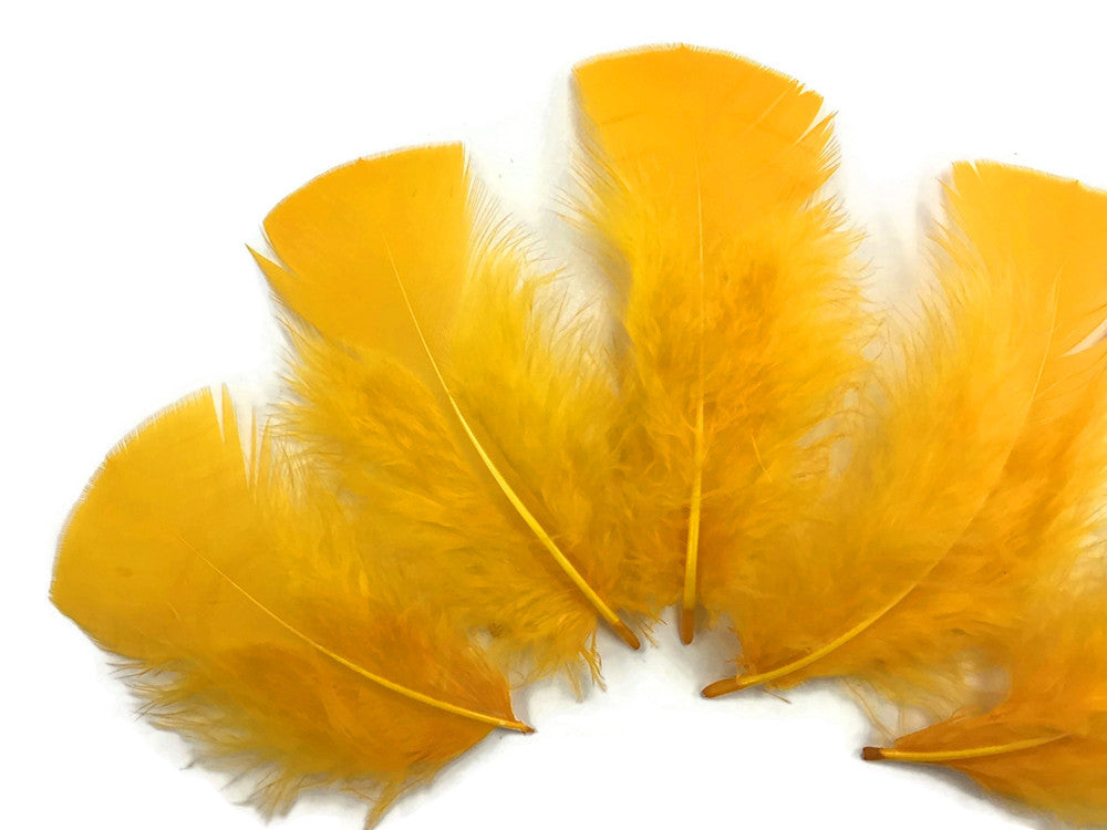1/4 Lb - Golden Yellow Turkey T-Base Wholesale Body Plumage Feathers (Bulk)