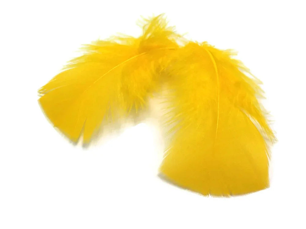 Two vibrant yellow feathers for DIY crafts and fashion accessories on a white background.