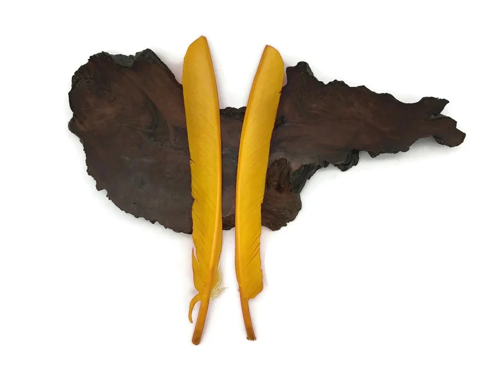 Two vibrant yellow craft feathers placed on a dark natural wood slice background.