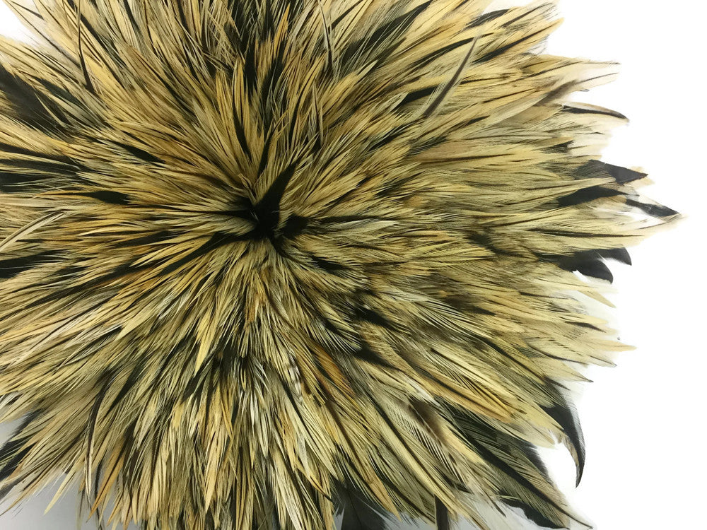 1 Yard - 4-6" Natural Golden Badger Strung Chinese Rooster Saddle Wholesale Feathers (Bulk)