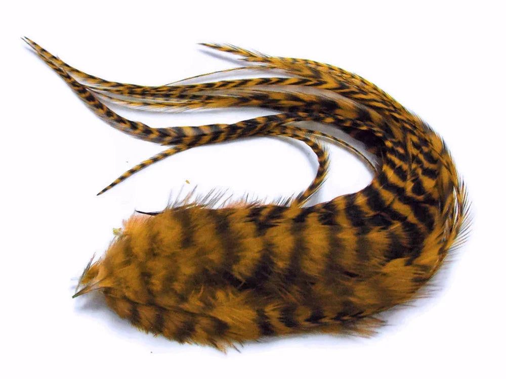 Striped golden and black decorative feathers for crafts and DIY fashion accessories.
