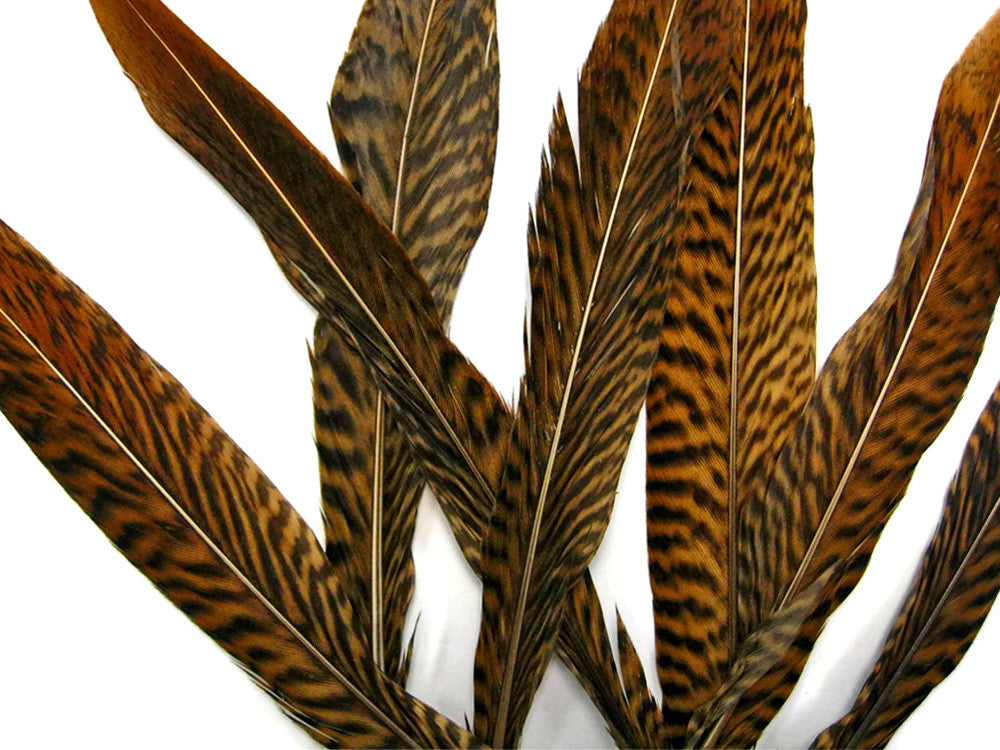 10 Pieces - 16-18" Natural Golden Pheasant Tail Feathers