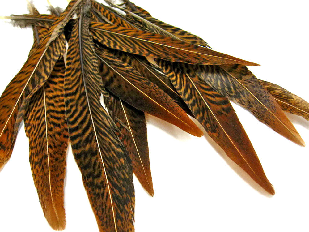 10 Pieces - 16-18" Natural Golden Pheasant Tail Feathers