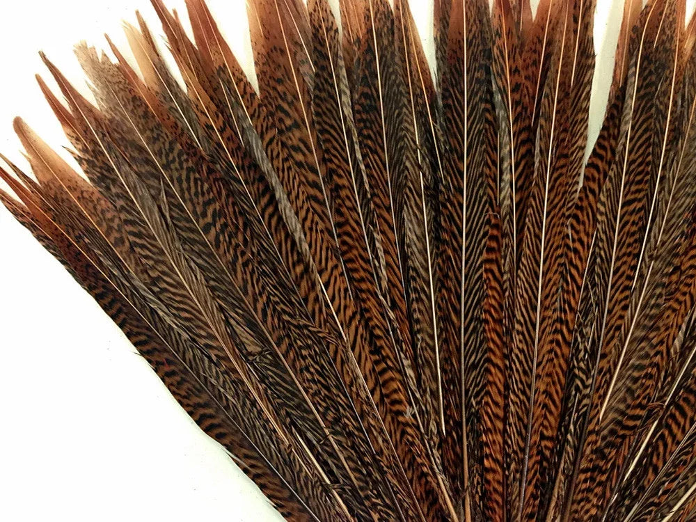 Fan of brown patterned feathers for DIY crafts and fashion accessories.