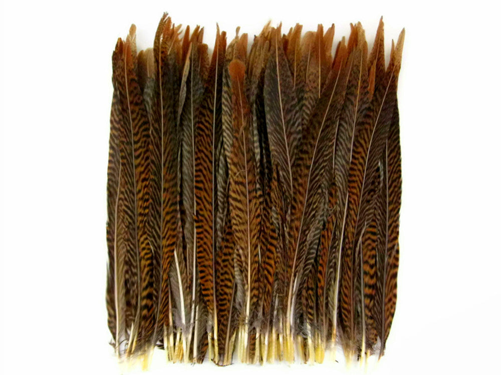 10 Pieces - 16-18" Natural Golden Pheasant Tail Feathers