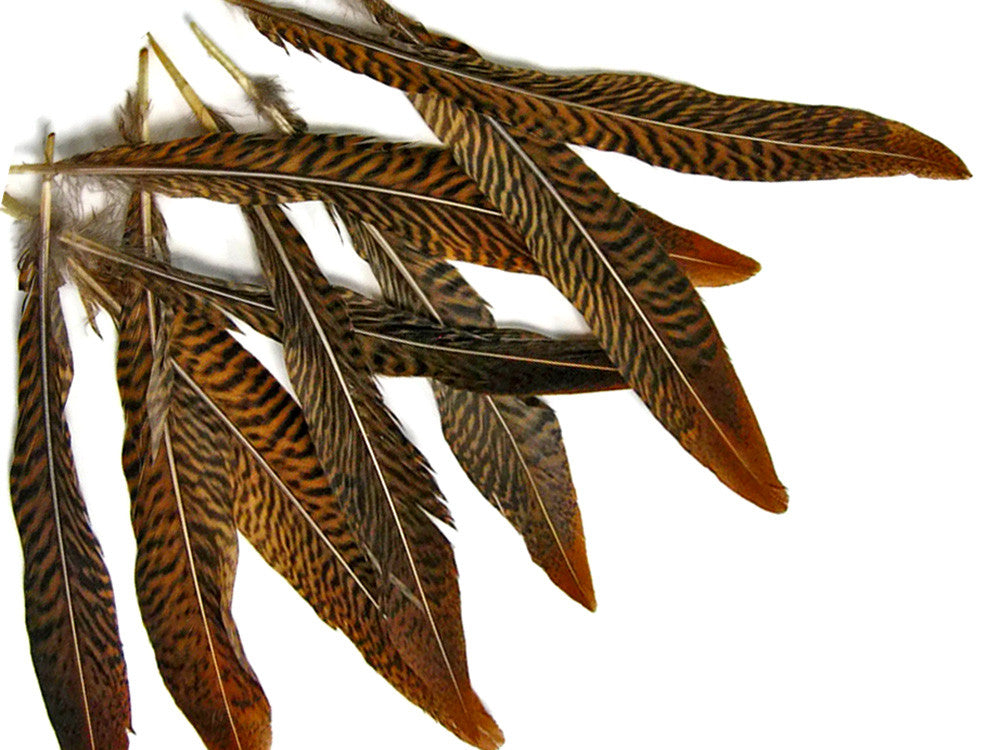 10 Pieces - 16-18" Natural Golden Pheasant Tail Feathers