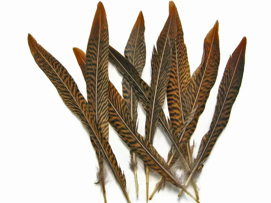 Natural brown patterned feathers for crafts and DIY fashion decor.