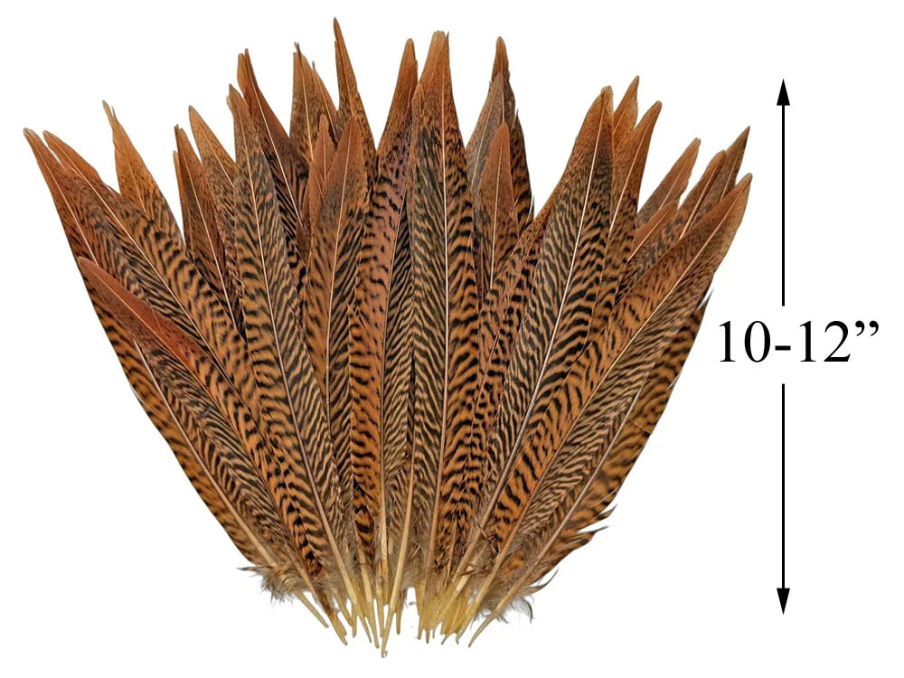 10 Pieces - 10-12" Natural Golden Pheasant Tail Feathers