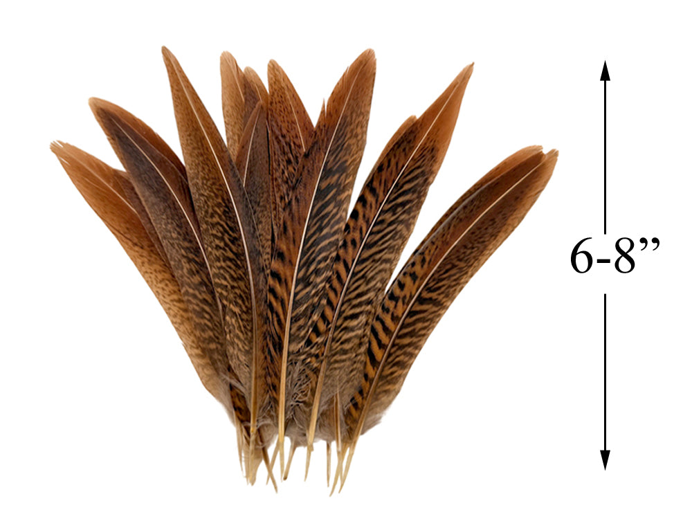 10 Pieces - 6-8" Natural Golden Pheasant Tail Feathers