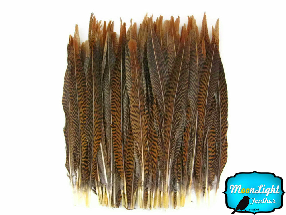 10 Pieces - 14-16" Natural Golden Pheasant Tail Feathers