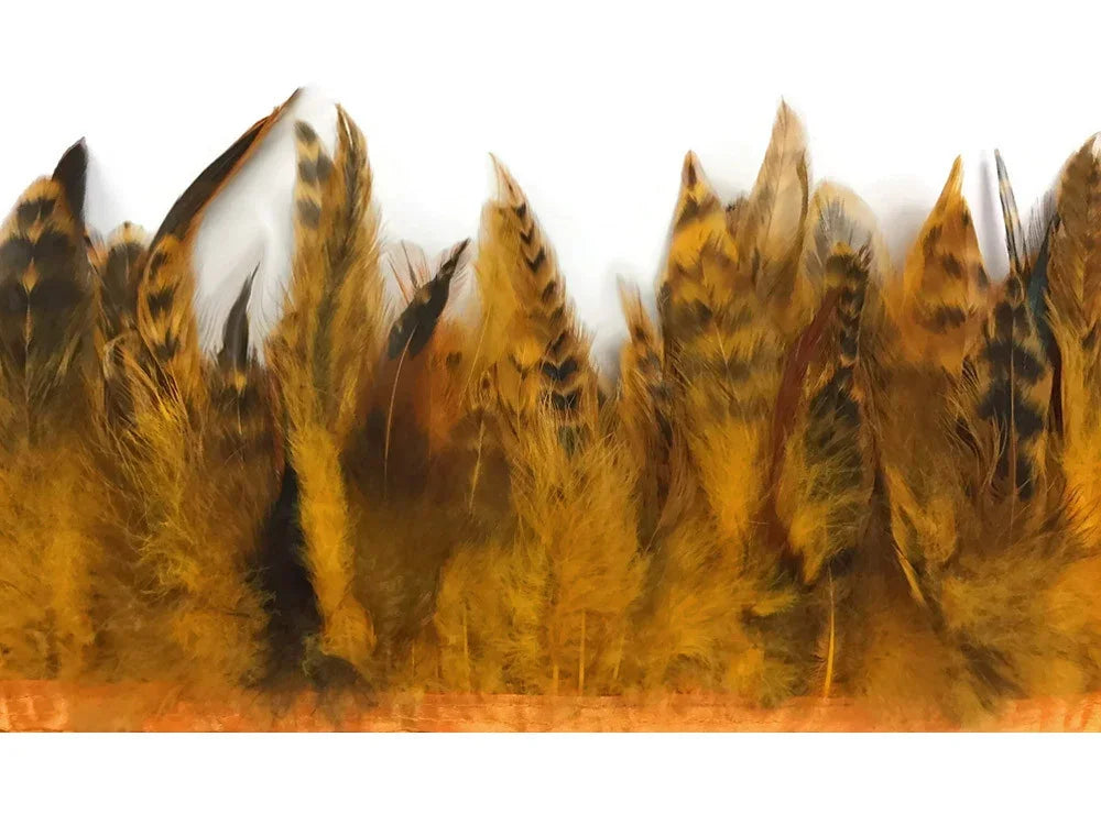 Natural brown and golden striped feathers for DIY crafts and fashion accessories.