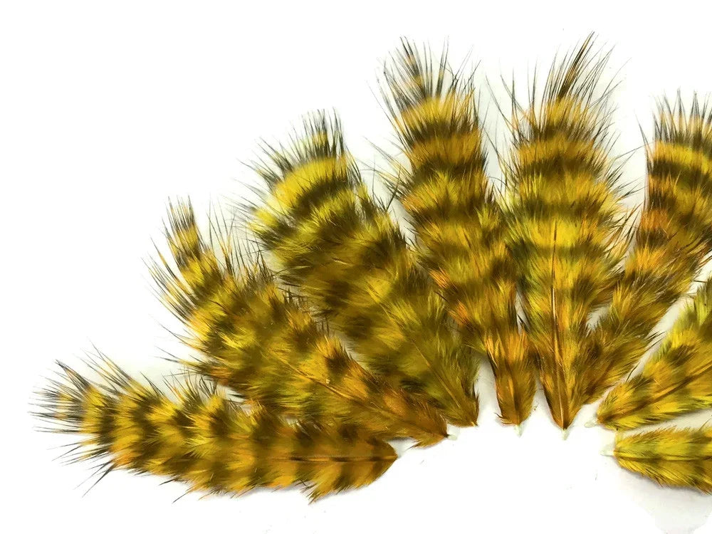 Striped golden and brown pheasant feathers for crafts and fashion DIY decor.