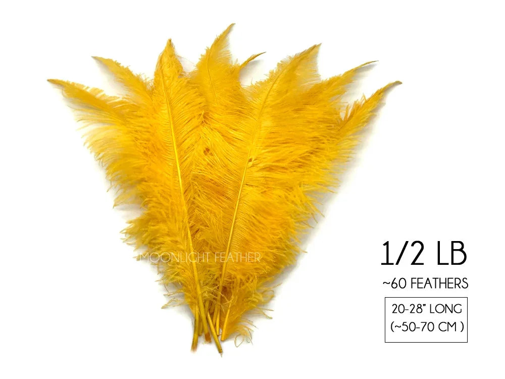 Bundle of 60 vibrant yellow ostrich feathers, 20-28 inches long for crafts and décor.