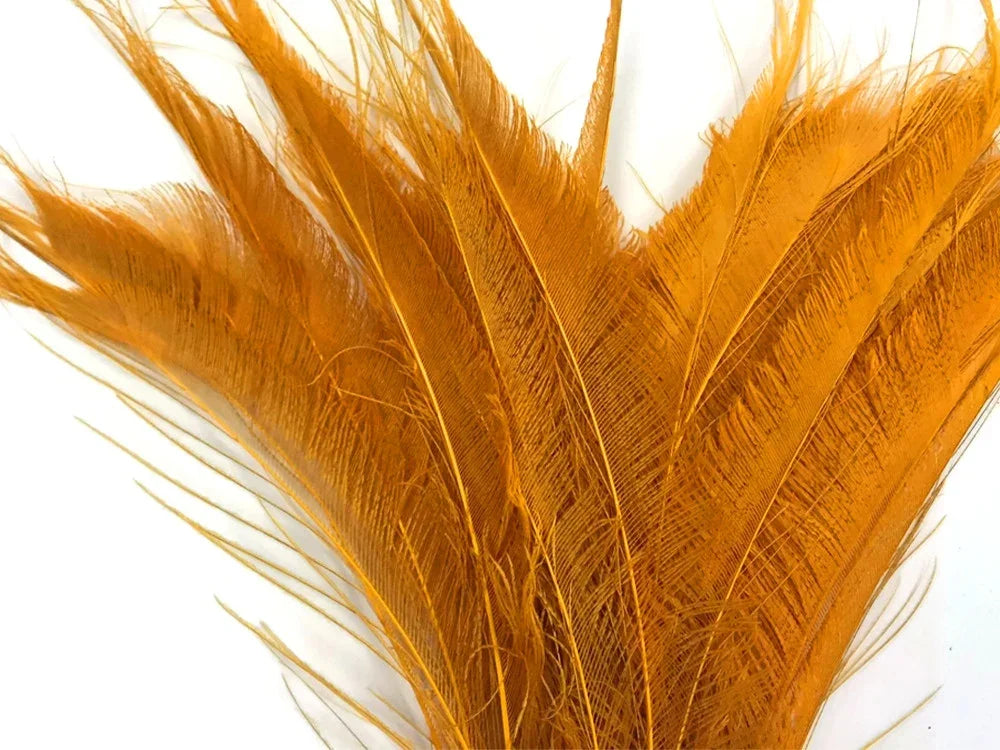 Vibrant orange ostrich feathers for DIY crafts and fashion decor.