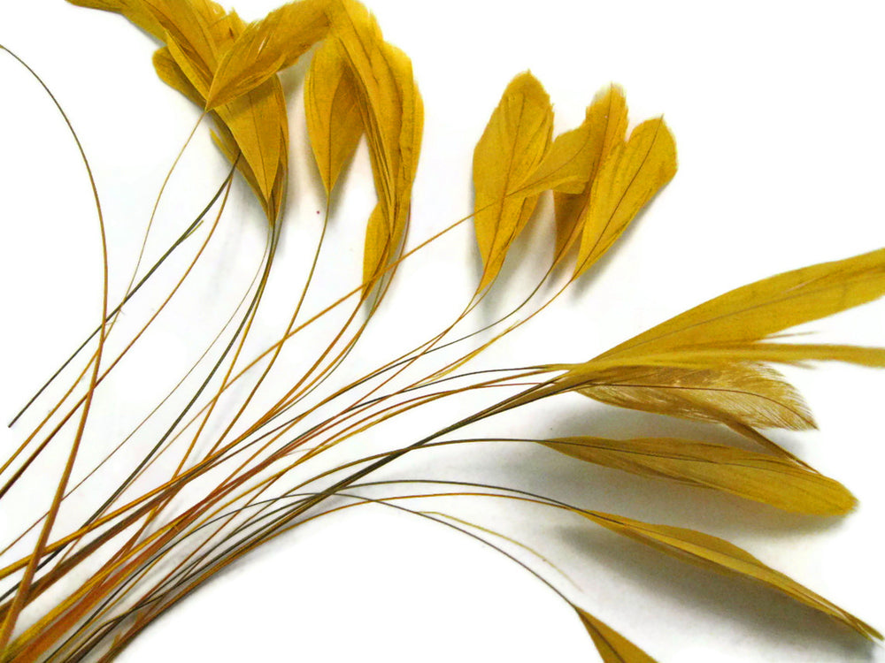 1 Yard - Gold Stripped Coque Tail Feathers Wholesale Trim (Bulk)