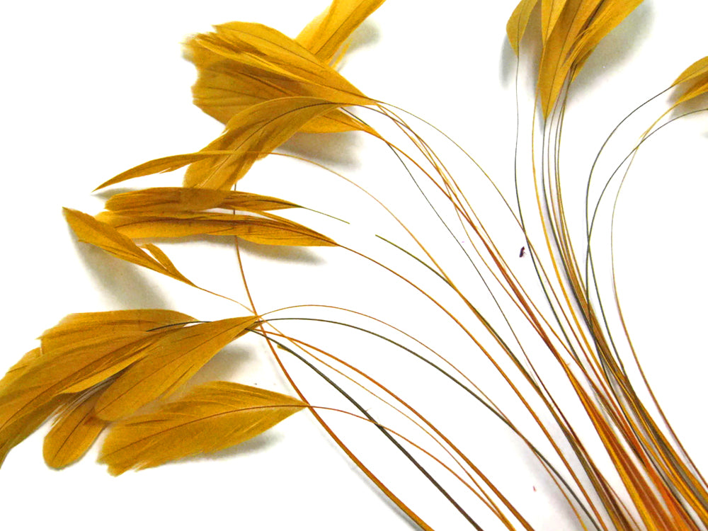 1 Yard - Gold Stripped Coque Tail Feathers Wholesale Trim (Bulk)