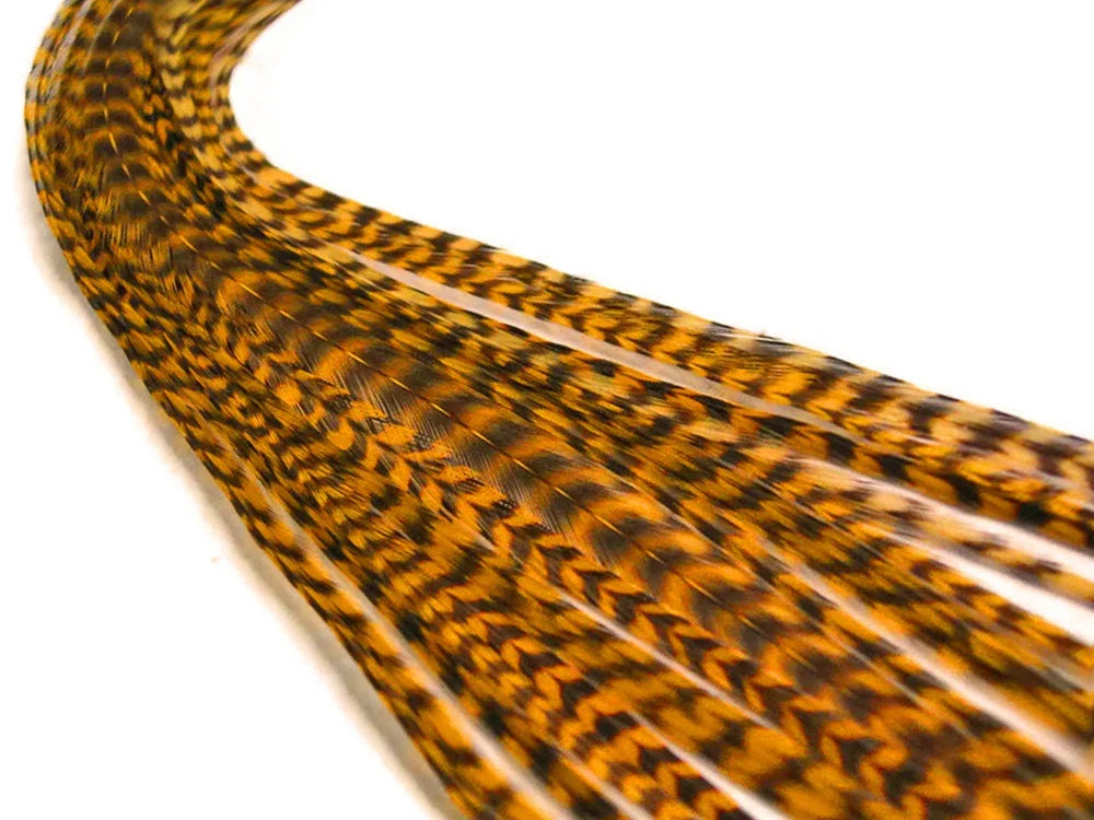 Long patterned brown and gold feathers for fashion and craft DIY supplies.