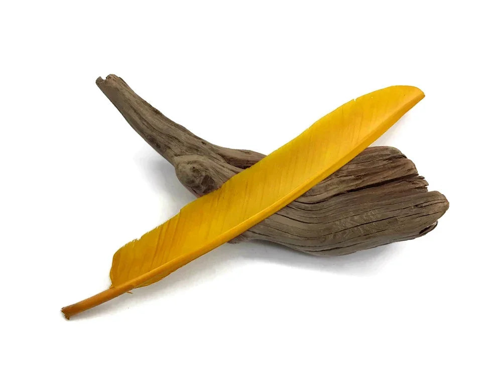 Vibrant yellow craft feather resting on a piece of natural driftwood.