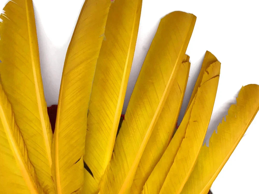 Vibrant yellow feathers for DIY crafts, fashion accessories, and creative décor.