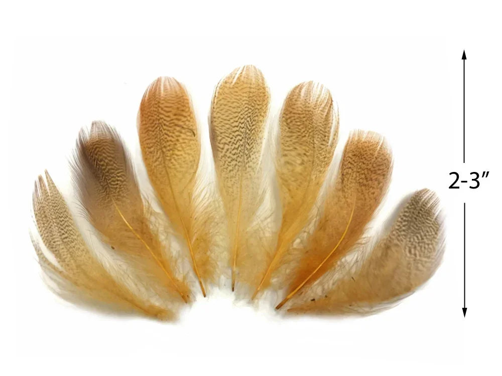 Set of six tan and brown patterned craft feathers, 2-3 inches in length.