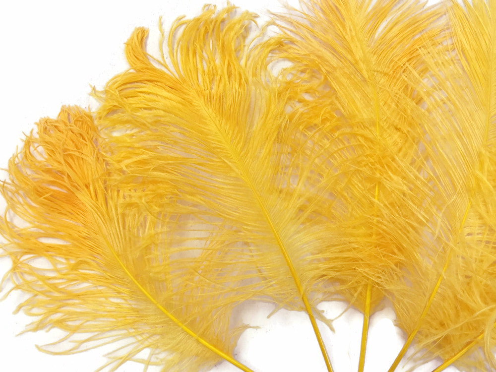 10 Pieces - 12-16" Golden Yellow Dyed Ostrich Tail Fancy Feathers