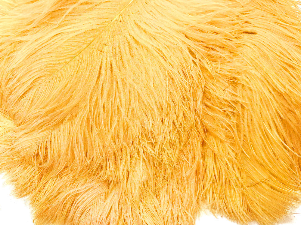 10 Pieces - 12-16" Golden Yellow Dyed Ostrich Tail Fancy Feathers