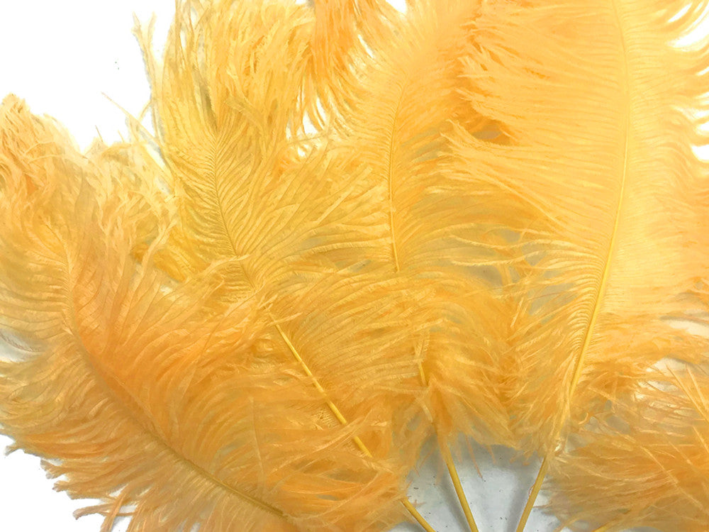 10 Pieces - 12-16" Golden Yellow Dyed Ostrich Tail Fancy Feathers