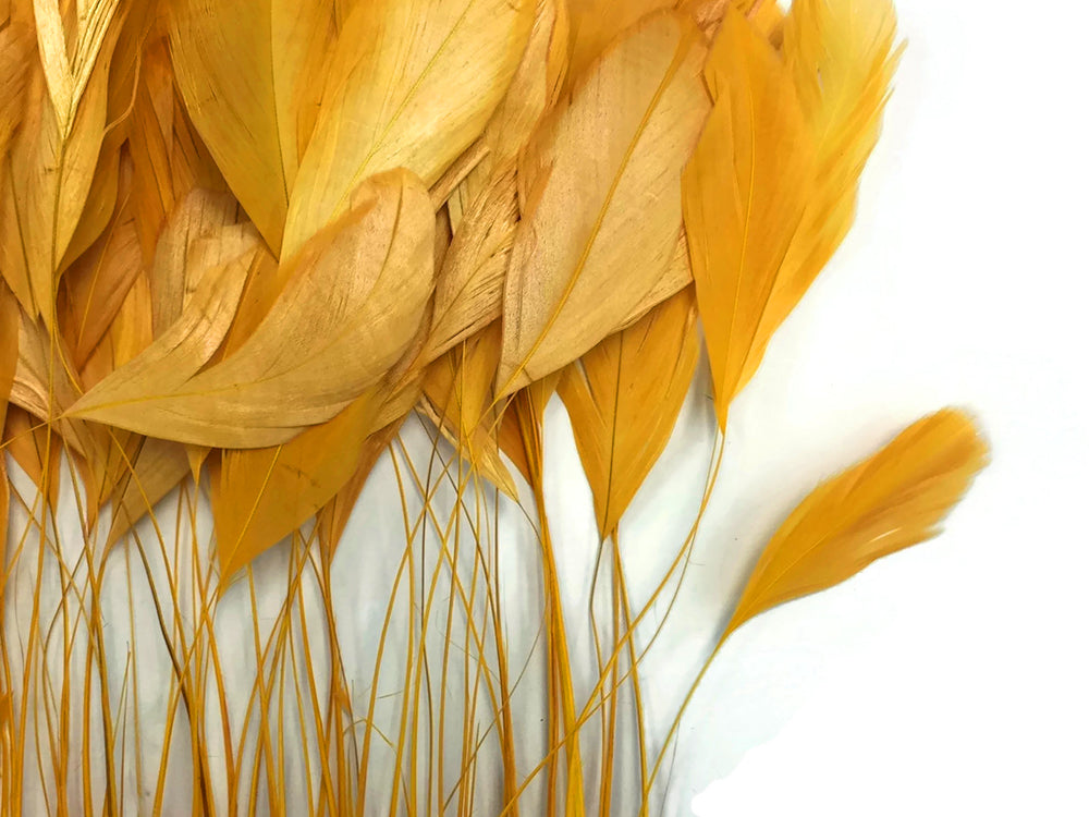 1 Yard - Gold Stripped Coque Tail Feathers Wholesale Trim (Bulk)