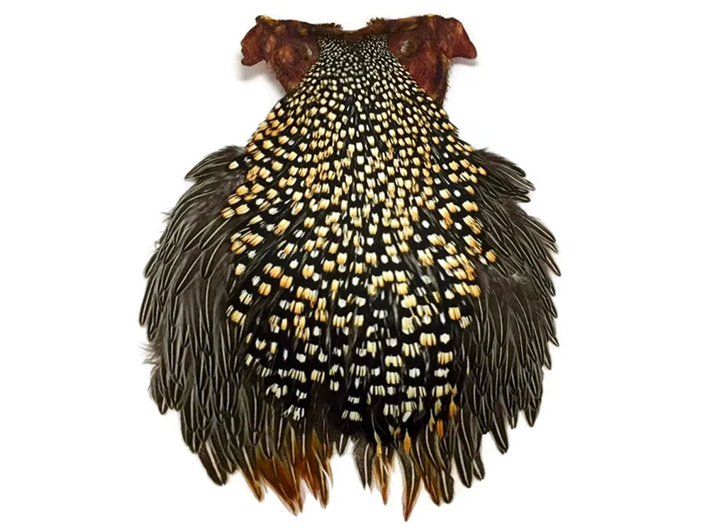 1 Piece - Grade B Natural Gold Jungle Cock Cape Complete Skin Pelt With Feather (bulk)
