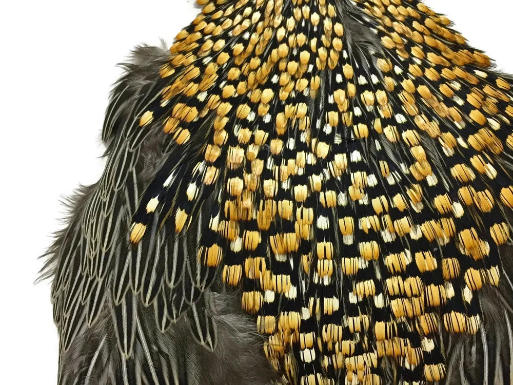 Gold and black patterned feathers for DIY crafts and fashion accessories.