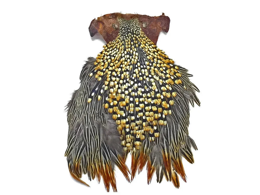 Natural patterned bird feathers with yellow and brown spots for DIY crafts and fashion decor
