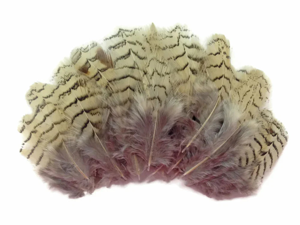 Natural beige and brown patterned feathers with soft pink down for DIY crafts and fashion.