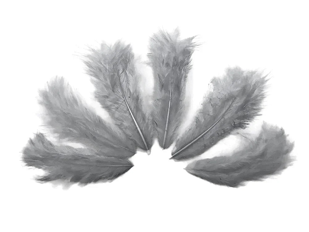 Five soft grey ostrich feathers arranged in a semi-circle fan shape on a white background.