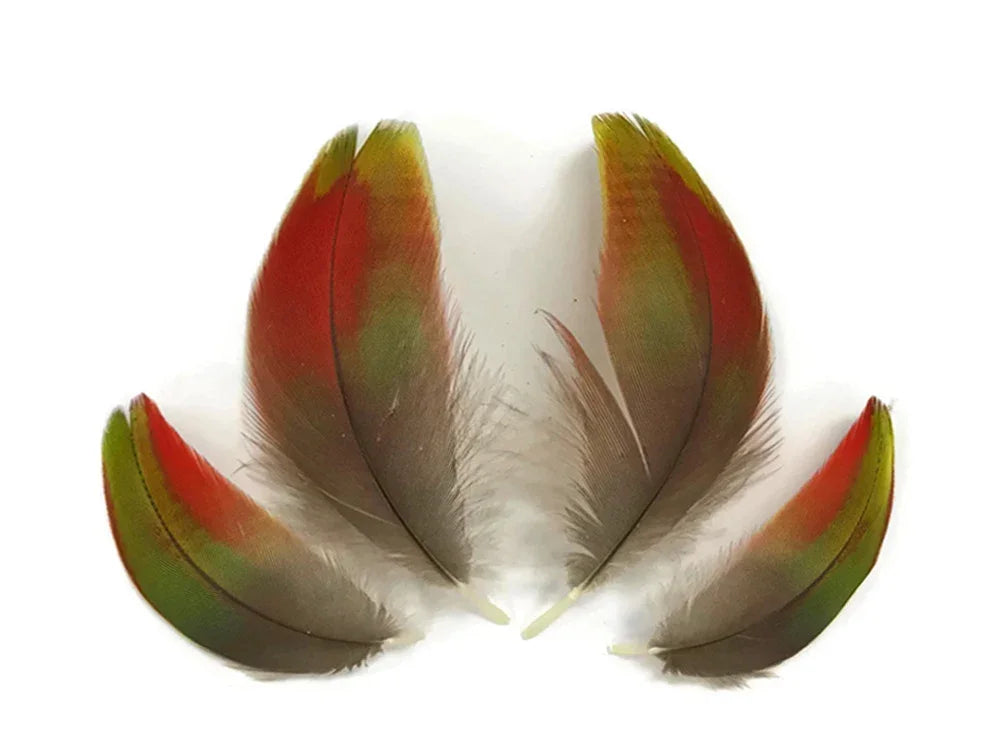 Four vibrant red and green natural feathers for crafts and DIY fashion decor.