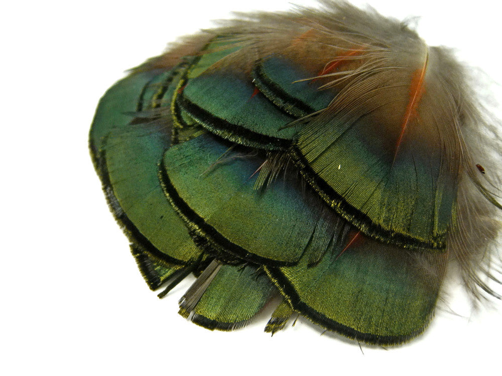 1/8 Lb. - Iridescent Green Bronze Golden Pheasant Plumage Wholesale Feathers (Bulk)