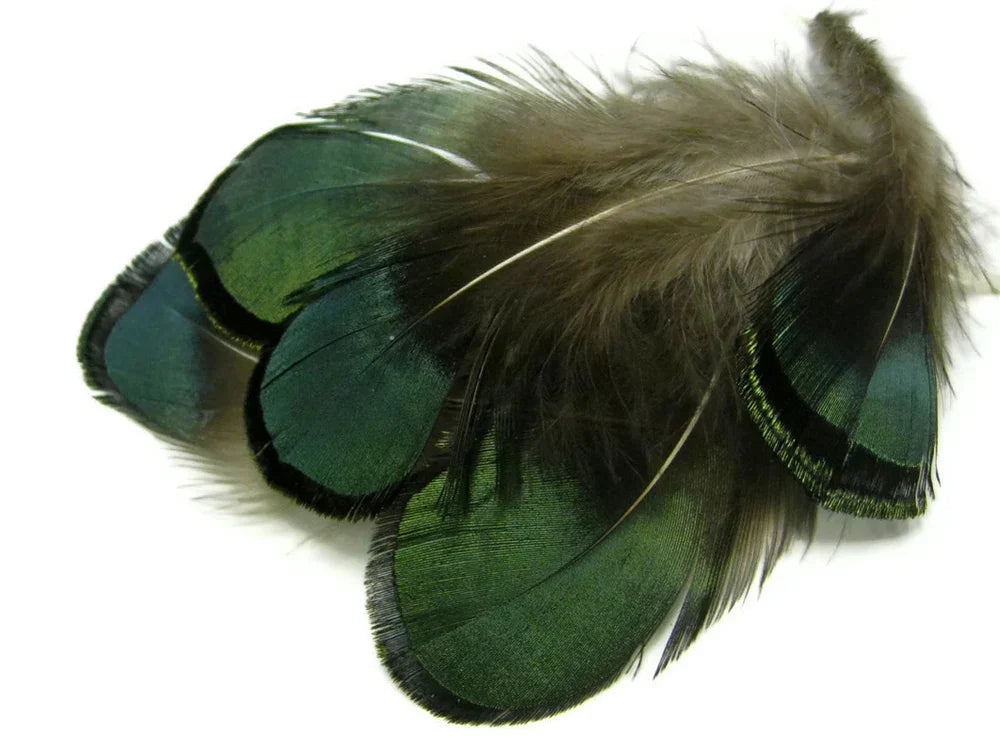 1 Yard - Green Bronze Lady Amherst Pheasant Tippet Feather Trim