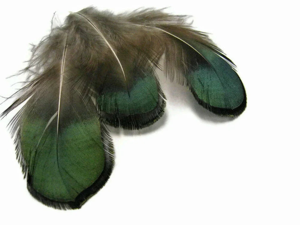 Three iridescent green and brown feathers for DIY crafts and fashion décor.