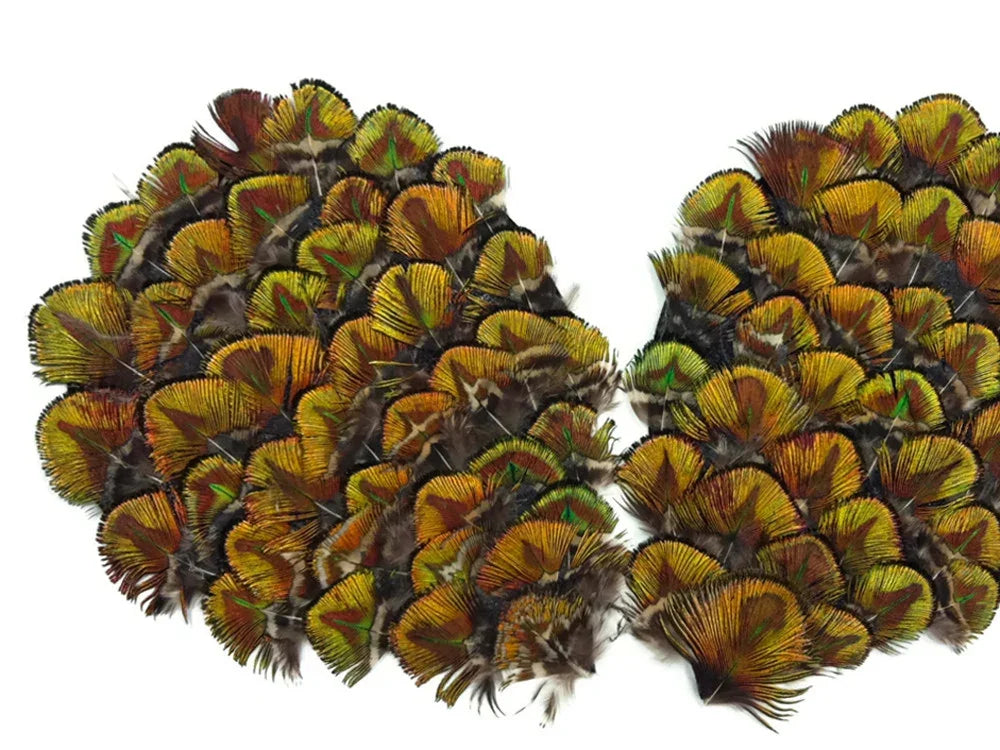Vibrant multicolored pheasant feathers arranged in a decorative wing shape for DIY crafts.
