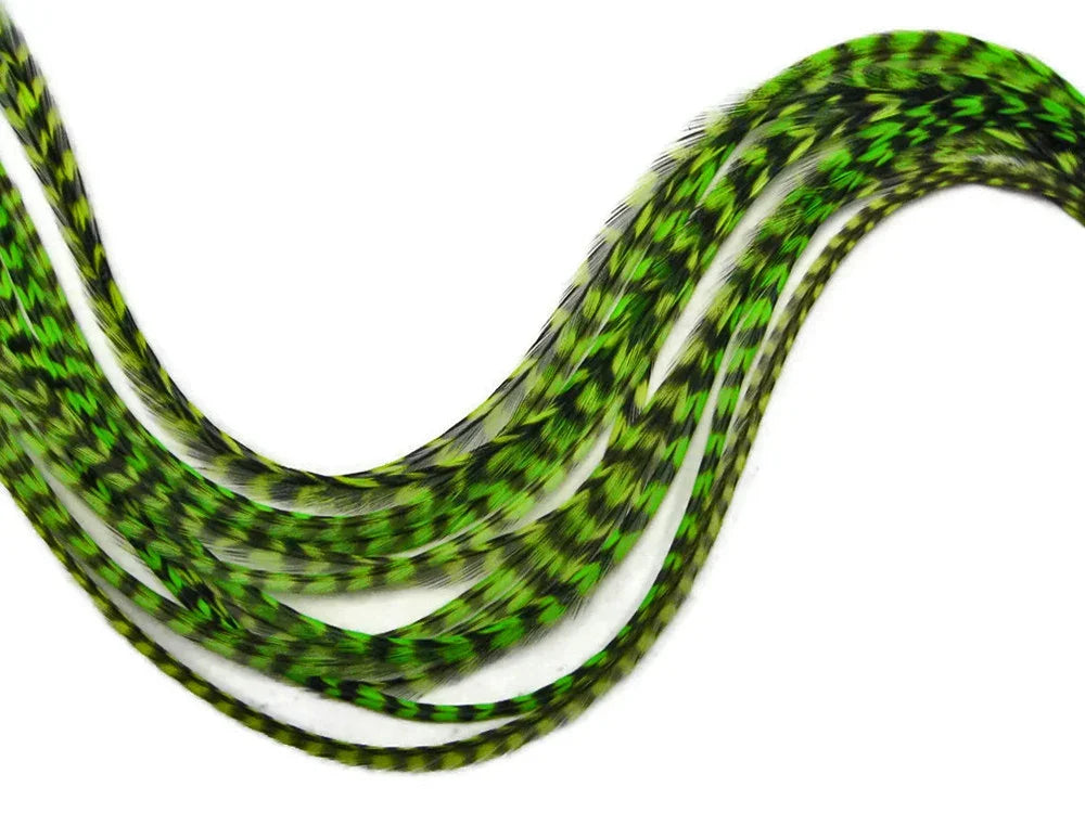 Long green and black patterned feathers for DIY crafts and fashion accessories.