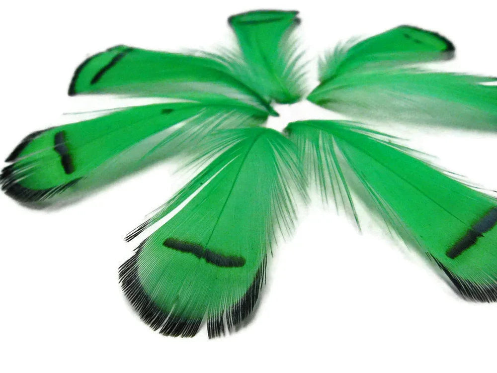 Vibrant green feathers with black tips for DIY crafts and fashion décor.