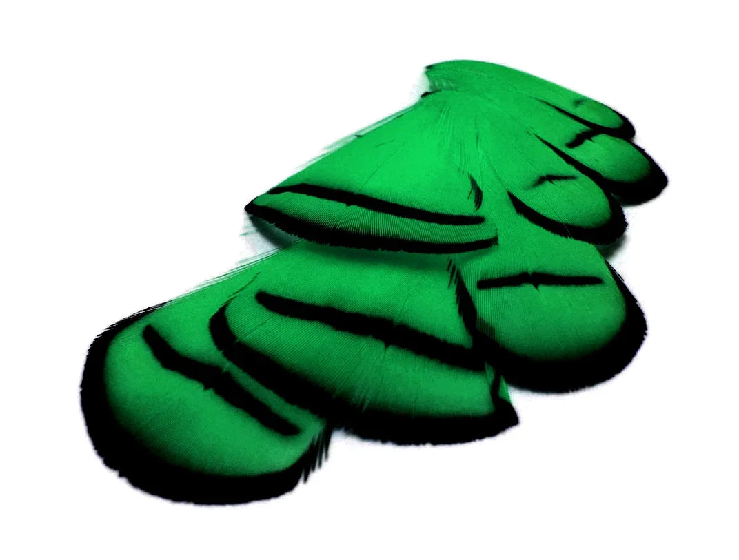 Vibrant green feathers with black tips and bands for crafts and fashion