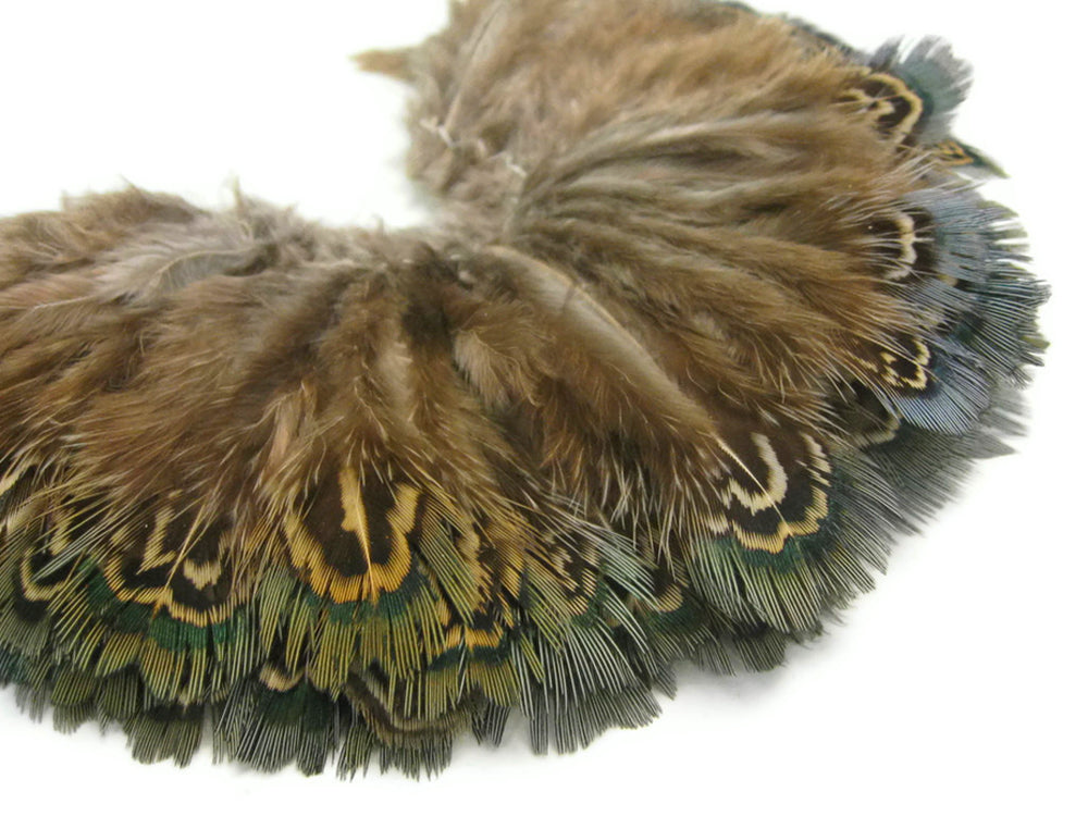 1/8 lbs. - Natural Green Almonds Ringneck Pheasant Plumage Wholesale Feathers (Bulk)
