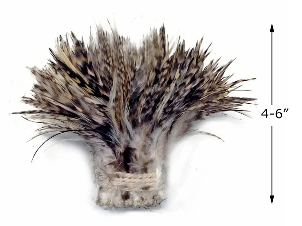Natural brown and tan patterned feathers for crafts and fashion decor, 4-6 inches long.