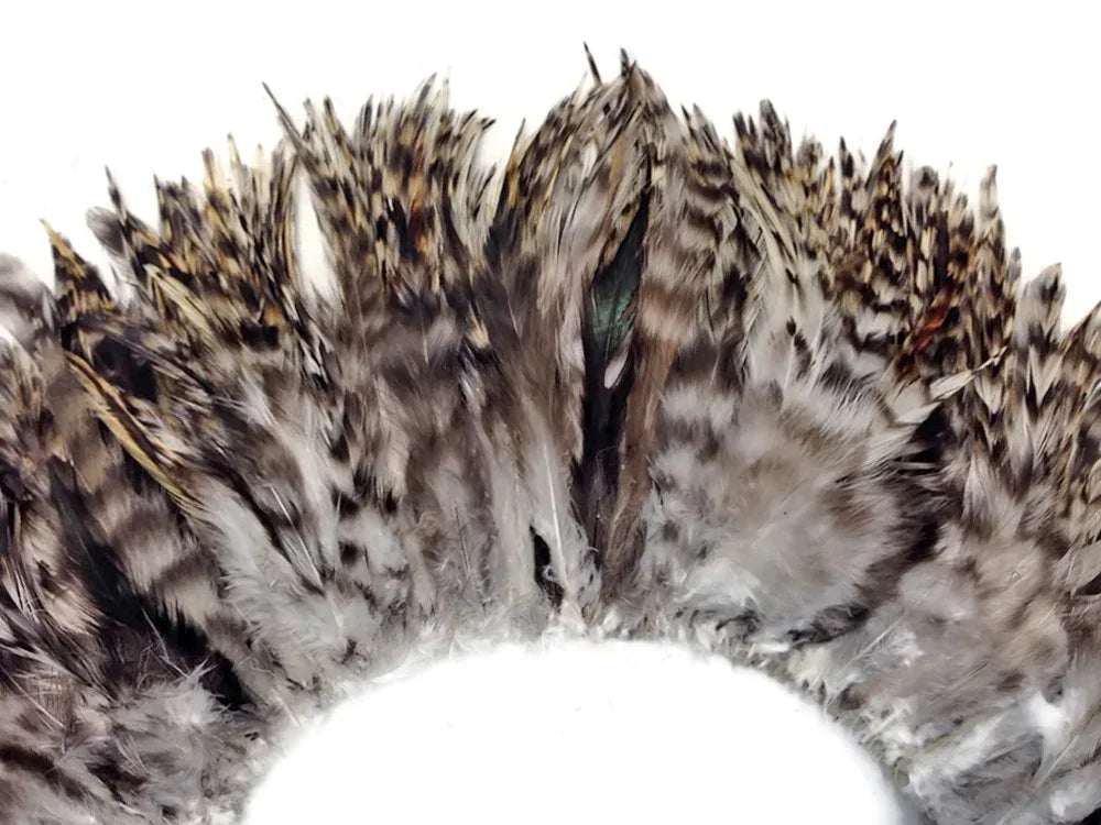 Natural brown and white patterned feathers for DIY crafts and fashion accessories.