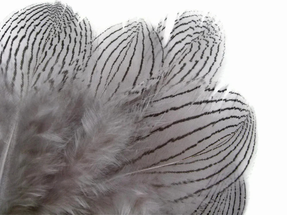 Close-up of soft grey feathers with distinct black striped patterns for crafts and décor
