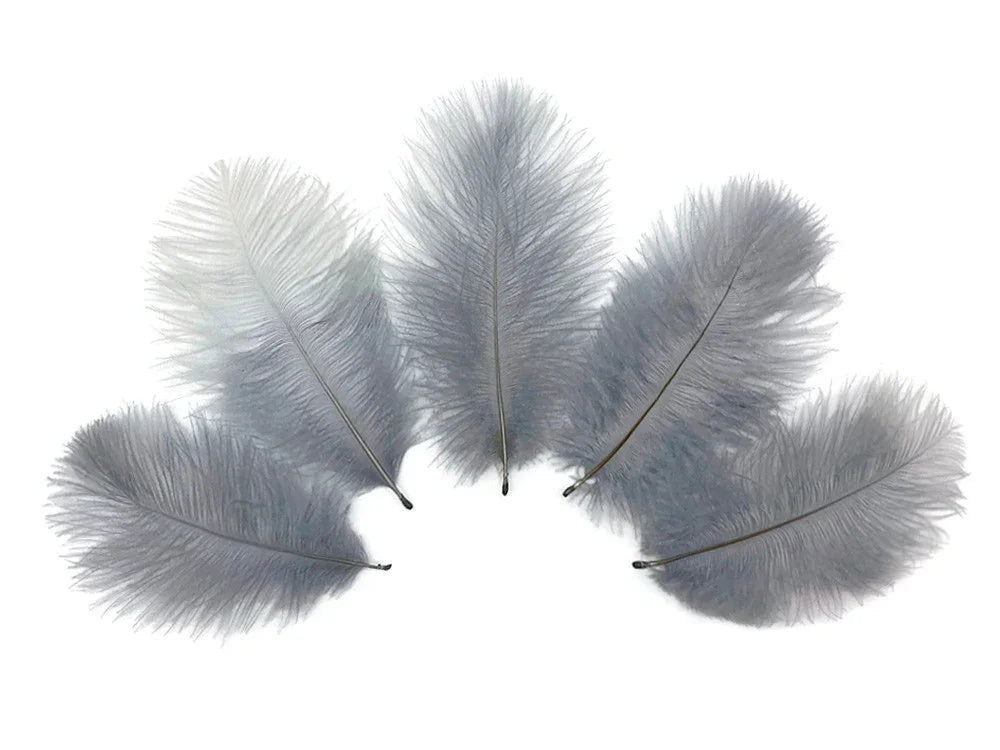 Five soft grey ostrich feathers arranged in a fan shape on a white background.