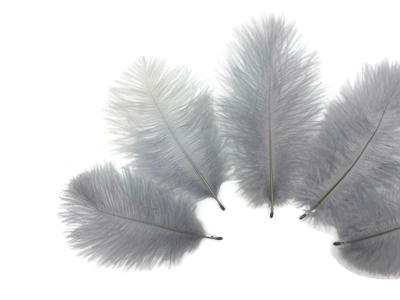 Wholesale Pack - Silver Gray Ostrich Small Confetti Feathers (Bulk)