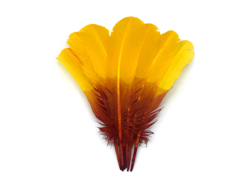 6 Pieces - Gryffindor Brown & Gold Two Tone Turkey Rounds Tom Wing Quill Feathers